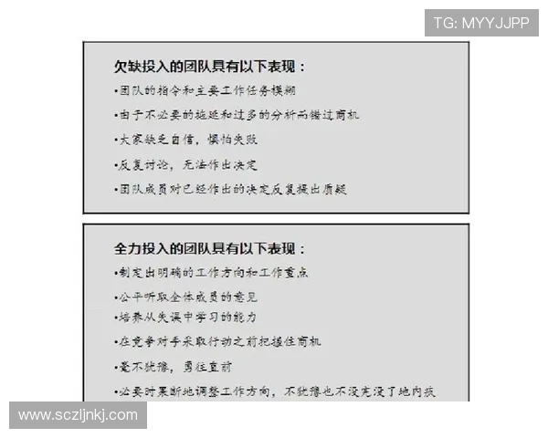 TES团队协作表现的数据分析与提升策略探讨