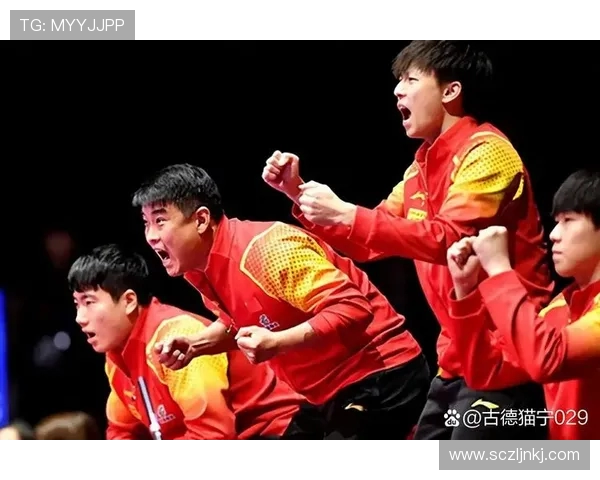 武汉乒乓球队在世界杯预选赛中的比赛经验与表现深度解析