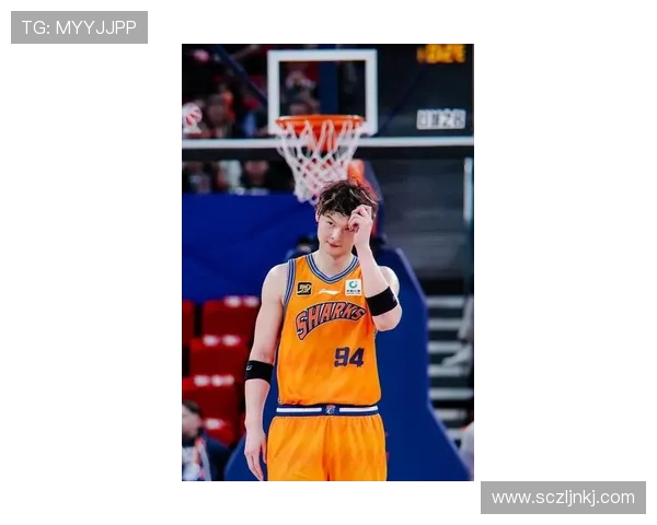 王哲林的篮球之路：从青涩少年到CBA明星的成长历程与未来展望