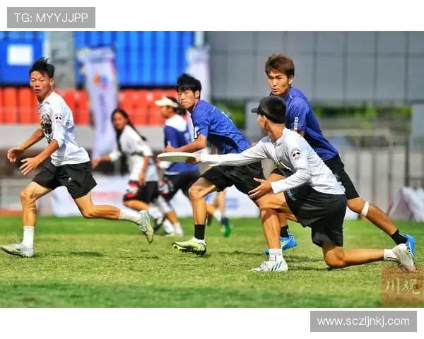 飞盘个人能力实力榜单权威发布揭示顶尖选手风采与竞技水平