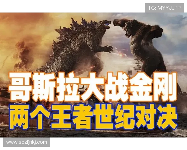 骑士与战斗机的世纪对决谁能在战场上赢得荣耀与胜利