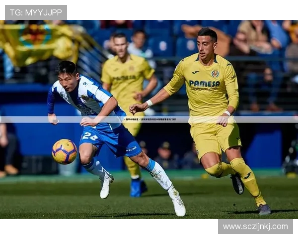 马里与法国足球比赛精彩直播全程回顾与分析