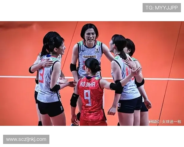 成都排球队实力引发热议球迷观点各异争论不断