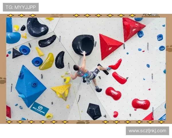 攀岩深度探索上海攀岩队的区域防守策略与战术解析