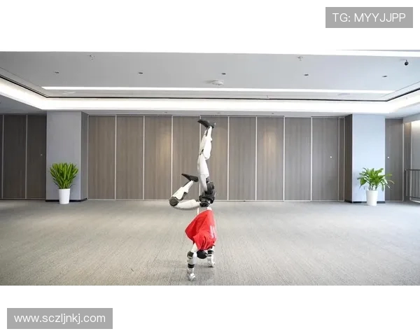 极限运动的魅力与挑战：深入了解北京极限运动队的灵活性与训练秘诀