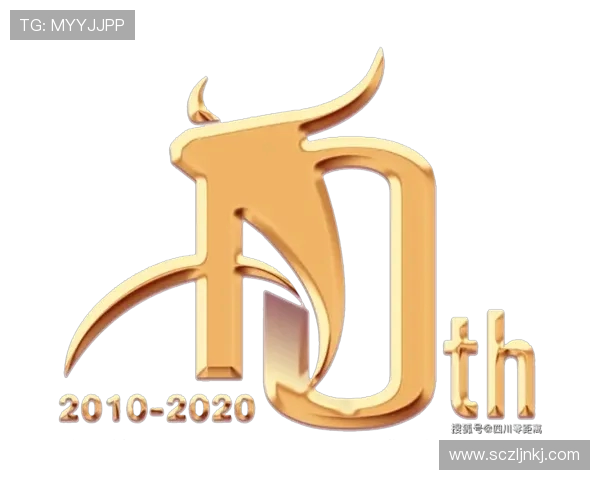 深圳足球队在联合会杯中的拼搏历程与荣耀时刻全景回顾