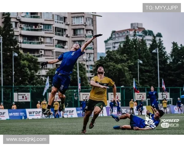 飞盘灵活性排行榜揭晓南京飞盘队表现卓越名列前茅