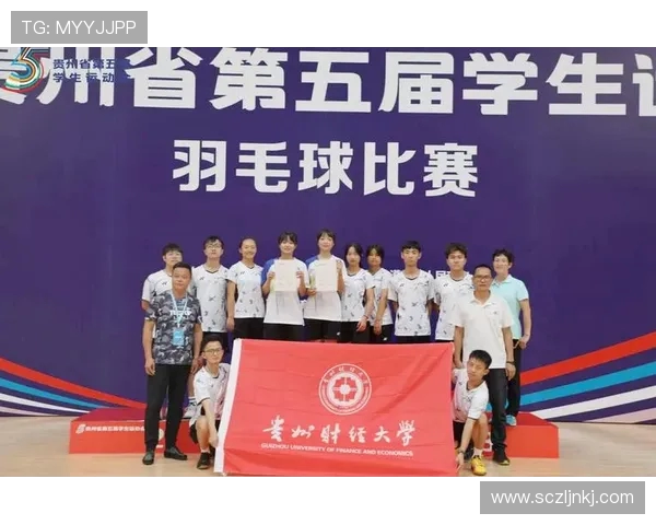 南京羽毛球队的精神风貌与发展历程探讨