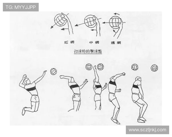 成都排球队快攻战术揭秘：深度解析排球技术与团队配合的完美结合