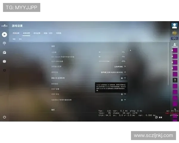 杨丽独家分享：深入解析CSGO游戏技巧与心得体会
